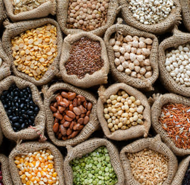 Millets & Grains Category Image